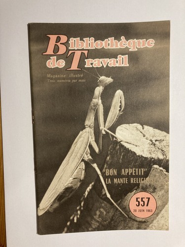 Bibliothèque travail 557 - de,