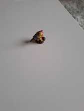 fève safari perroquet 