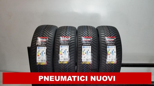 Gomme neuves fortuna - gomme,