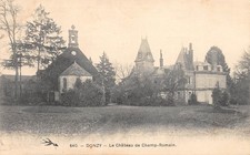 58-DONZY-ChAteau de Champ Romain-N 6006-B/0161