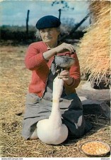 Animaux - Oiseaux - Oies - Gaveuse d'oies - CPM - Voir Scans Recto-Verso