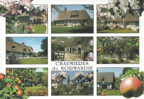 Cpm france chaumières - france, de