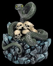Boîte - Serpent Avec Crânes