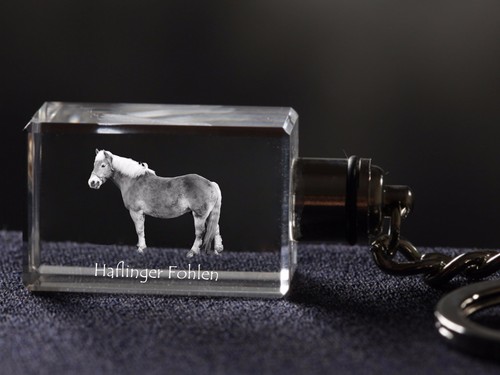 Haflinger cheval cristal - haflinger,,
