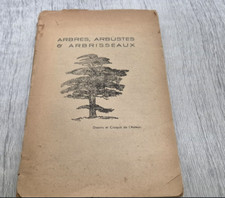 Arbres arbustes arbrisseaux croquis anciens botanique dessins nature livre rare