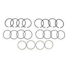Segments 77 mm - 2 / 2 / 4 mm