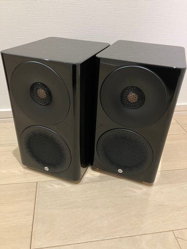 monitor audio radius