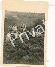 Photo WK2 Gebirgsjäger 11E