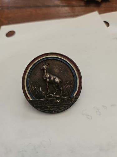 Insigne broche médaille de - ,