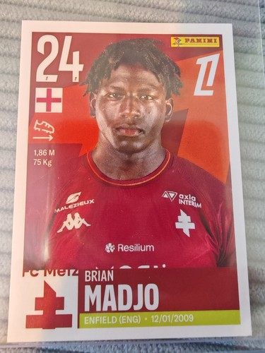 Panini metz brian - panini,