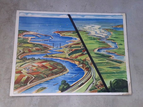 Affiche scolaire rossignol - affiche,