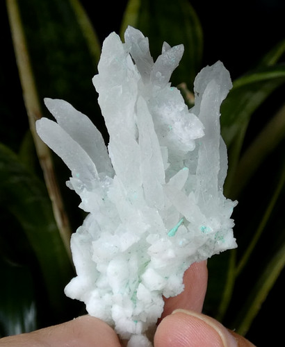 Rare calcite aragonite - rare,