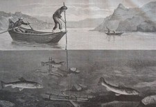 Salmon traps.....wood engraving...1860s