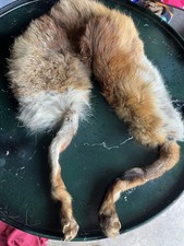 écharpe étole Fourrure