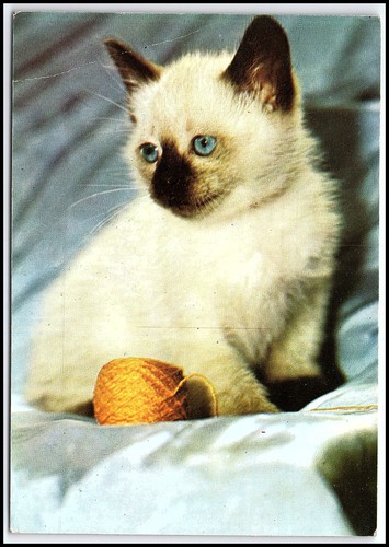 Carte postale vintage 1984