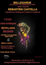 Sebastien Castella-Sebastian Castella -affiche-cartel-toros-corrida -60x40-2019