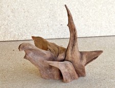 Racine mangrove de Guyane aquarium 16 cm/14 cm