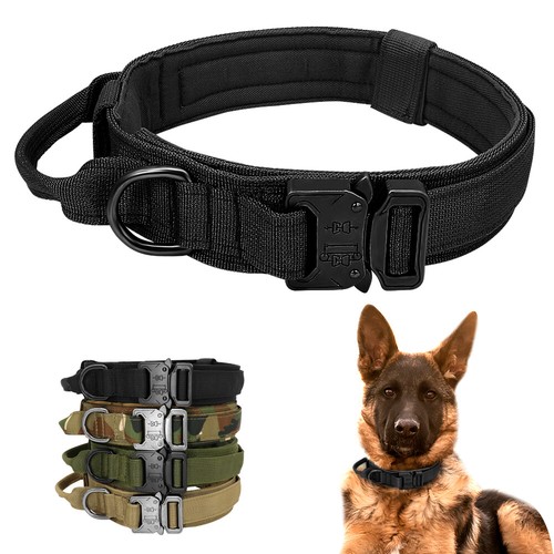 Collier dressage pour chien - de,