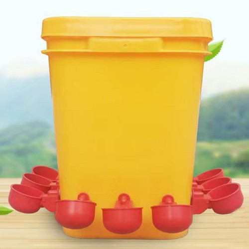 Poulet buveur abreuvoir - buveur, coupe