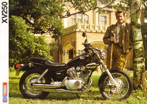 Brochure yamaha xv 250 - brochure,