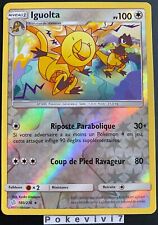 Carte Pokemon IGUOLTA 180/236