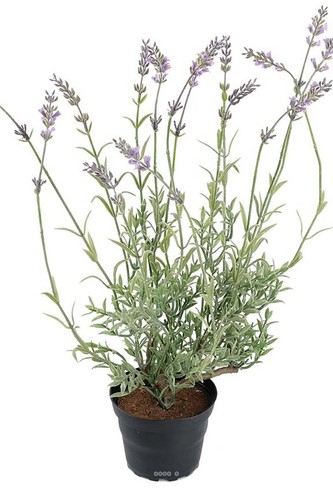 Lavande artificielle pot - artificielle,