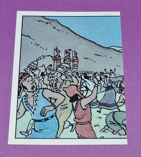210 panini tintin herge - n°210,