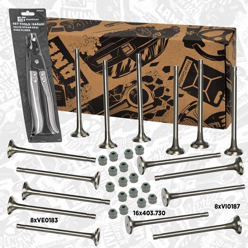 Kit soupapes - de,