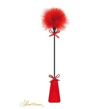 Cravache avec Plumeau rouge