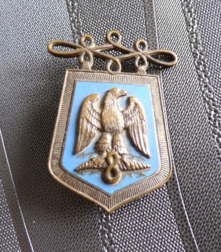 Insigne militaire - insigne,