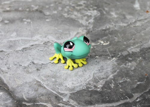 Grenouille verte jaune - grenouille,