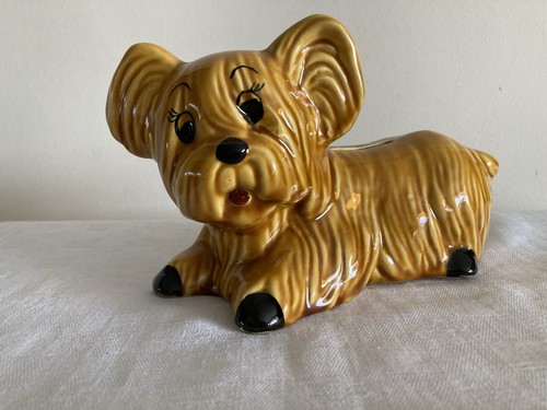 Adorable chien yorkshire - chien,