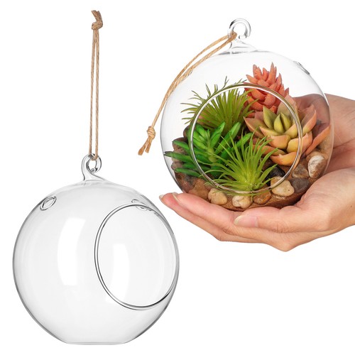 Pcs terrarium verre de - terrarium,