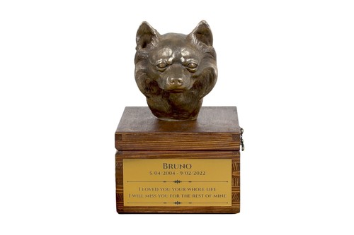 Chihuahua poil long urne - à,