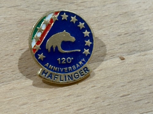 Pins pin cheval horse - ,
