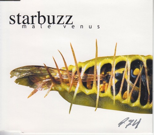 Starbuzz male venus - starbuzz,