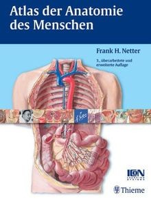 Atlas der anatomie - atlas,