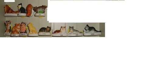 Série complète chats - complète,