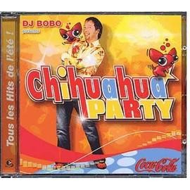 Bobo chihuahua party - bobo,