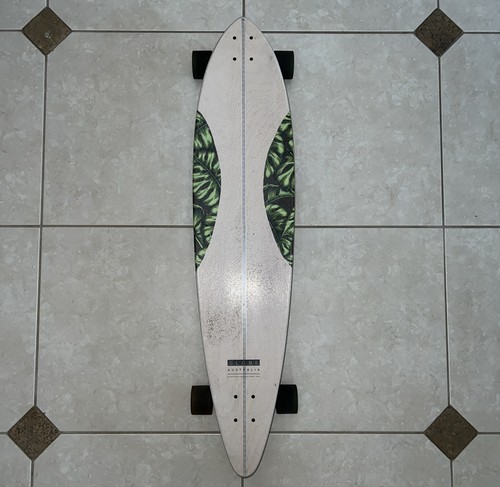 Globe monstera pintail - globe,