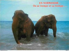 Carte Postale - Animaux -