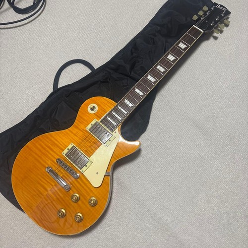 Burny srlg vld - srlg-55, les