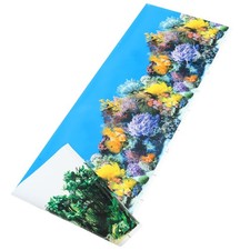 Aquarium background fish - aquarium,