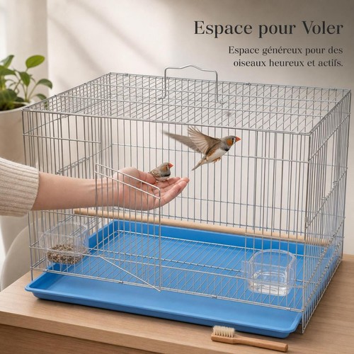 Grande cage oiseaux en - à,