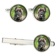 Cane Corso set of clips in a