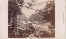 Photo CDV 2 Paysage VOSGES par Victor FRANK (1822-1879) Saint-Dié-des-Vosges.