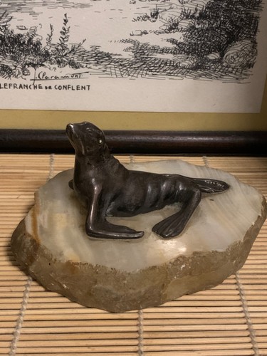 Rare lion mer - de, otarie