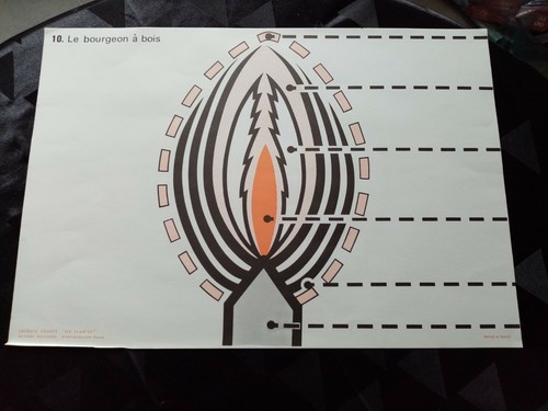 Ancien croquis sciences le - de, sciences:le
