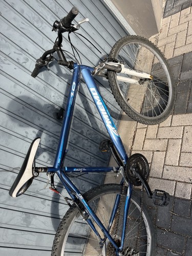 Twin vtt bleu - 21, vitesses
