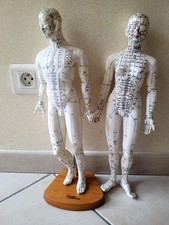 Lot 2 Mannequins Acupuncture 